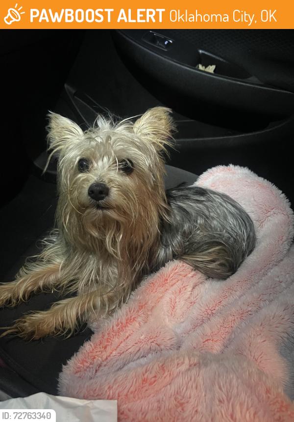 Found/Stray Male Dog last seen Inside of my neighborhood, Oklahoma City, OK 73120