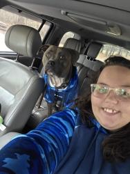 Lost Male Dog last seen County road 320, Craighead County, AR 72401