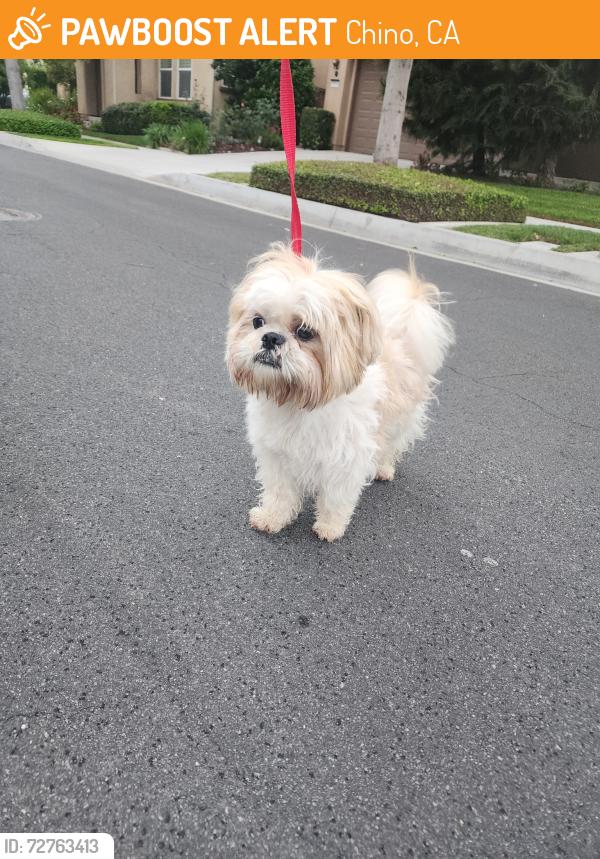 Found/Stray Male Dog last seen Huntington Garden & Garden Park THE PRESERVE/ CHINO, Chino, CA 91708