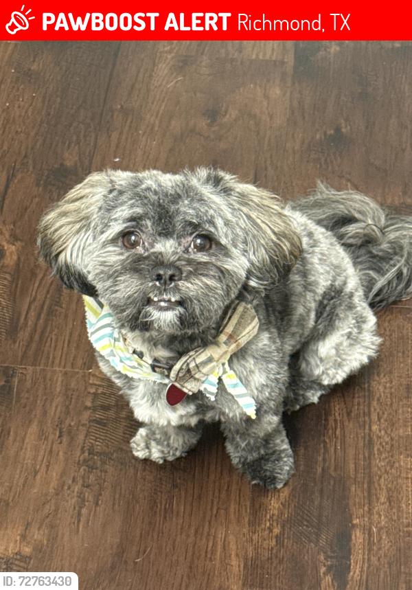 Lost Male Dog last seen Driftwood Meadow and Fall Pasture , Richmond, TX 77406