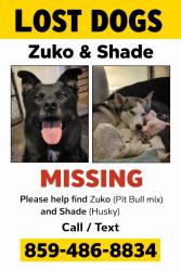 Lost Male Dog last seen tulip tree in Erlanger - potential sighting for two dogs matching them was in Independence today, Erlanger, KY 41018