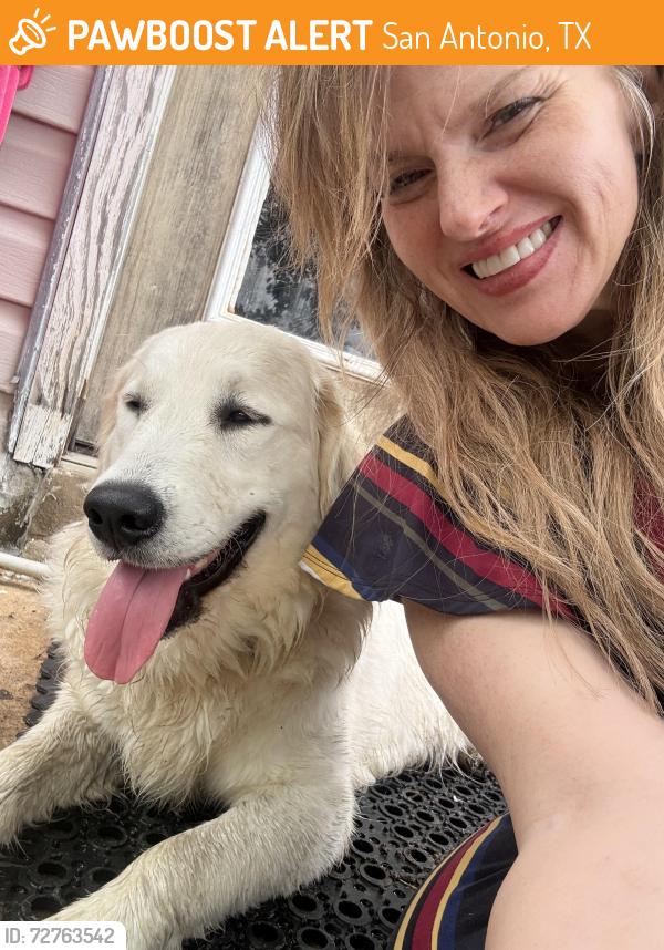 Found/Stray Female Dog last seen Bronzerock Drive , San Antonio, TX 78244