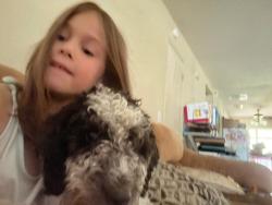 Lost Male Dog last seen Shady Grove and Mitc, Irving, TX 75060