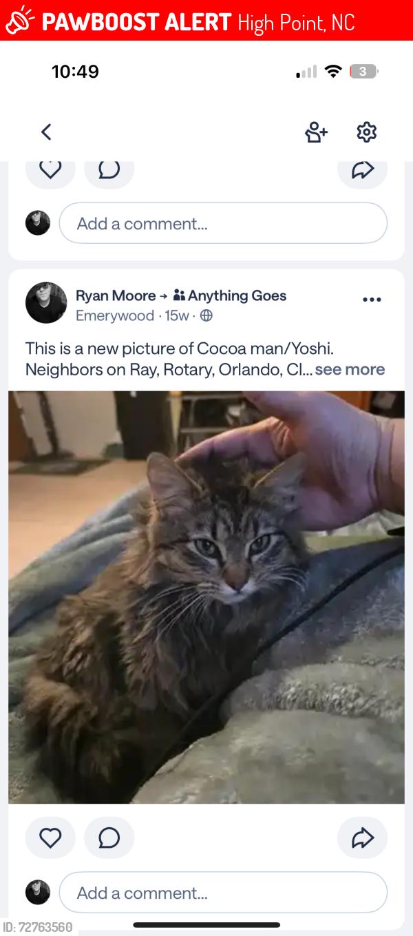 Lost Male Cat last seen Ray and Rotary In Emerywood, High Point, NC 27262