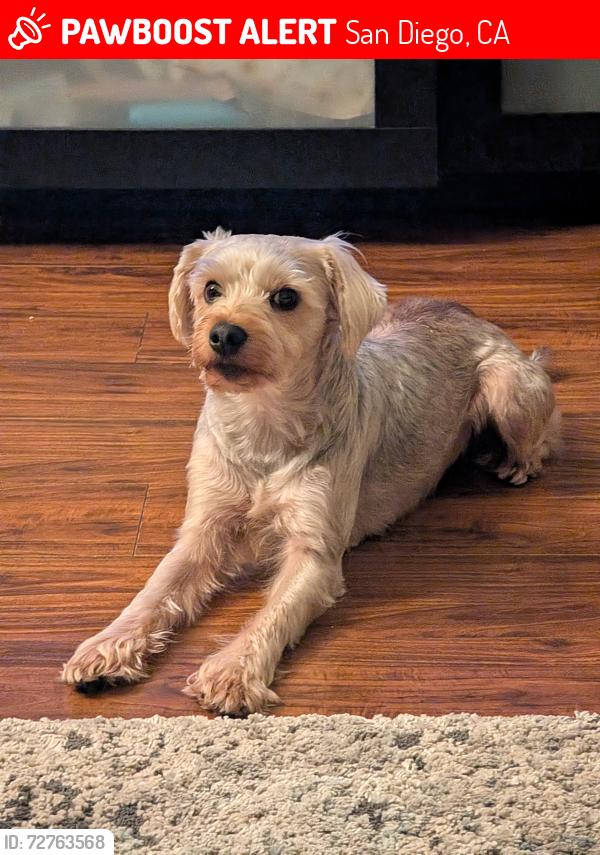 Lost Male Dog last seen 28th and K st San Diego, 92102, San Diego, CA 92102