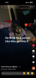 Lost Male Dog last seen  depot , Tupelo, MS 38801