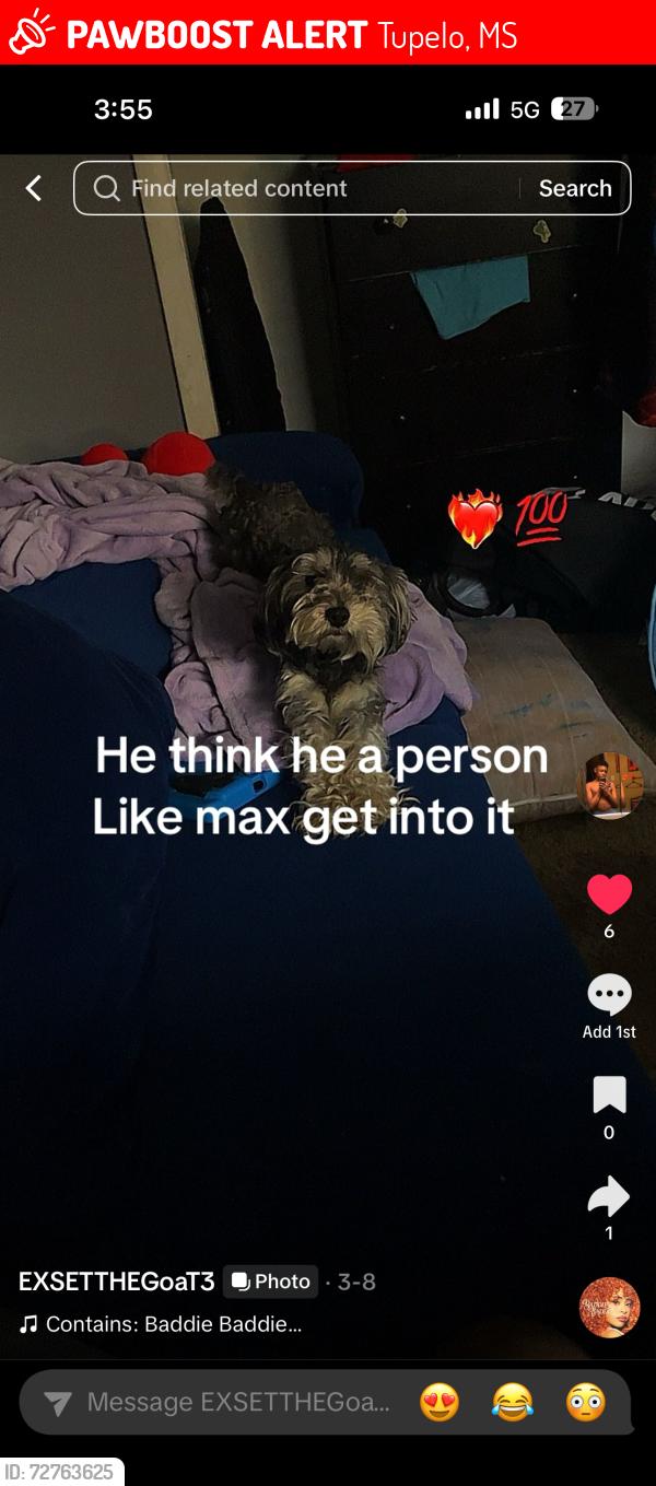 Lost Male Dog last seen  depot , Tupelo, MS 38801