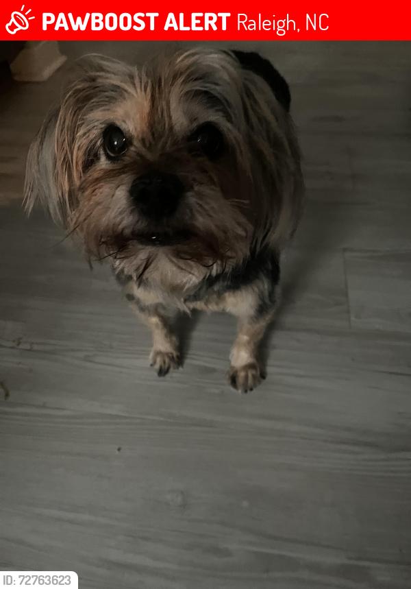 Lost Male Dog last seen At lake ridge villas, Raleigh, NC 27604