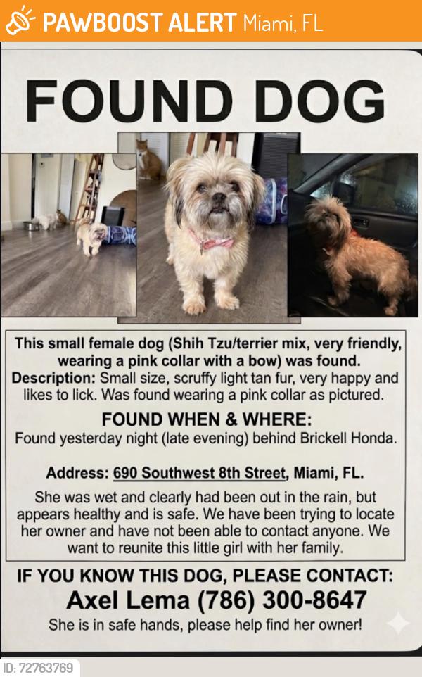 Found/Stray Female Dog last seen Brickell Honda , Miami, FL 33130