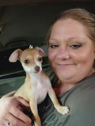 Lost Female Dog last seen Deerwood, Tyler, TX 75703