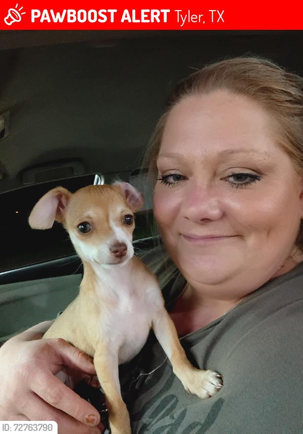 Lost Female Dog last seen Deerwood, Tyler, TX 75703