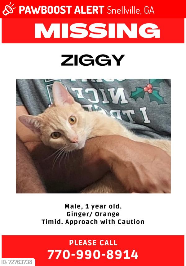 Lost Male Cat last seen Rock Chapel Elementary School and Norris Lake Road, Snellville, GA 30039