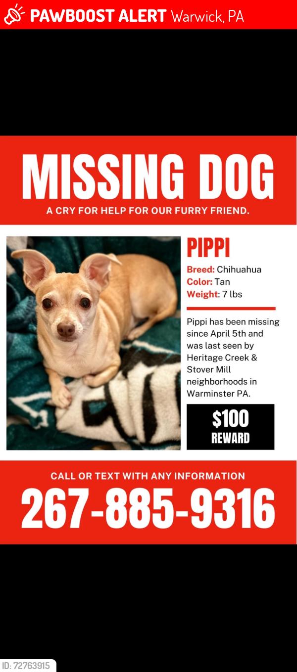 Lost Female Dog last seen Stover Mill / Bristol Rd, Warwick, PA 18974