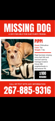 Lost Female Dog last seen Stover Mill / Bristol Rd, Warwick, PA 18974