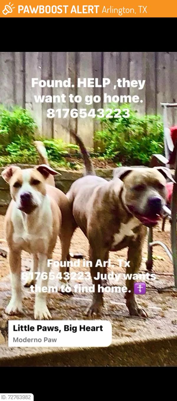 Found/Stray Unknown Dog last seen Stonework Dr, Arlington, TX 76016