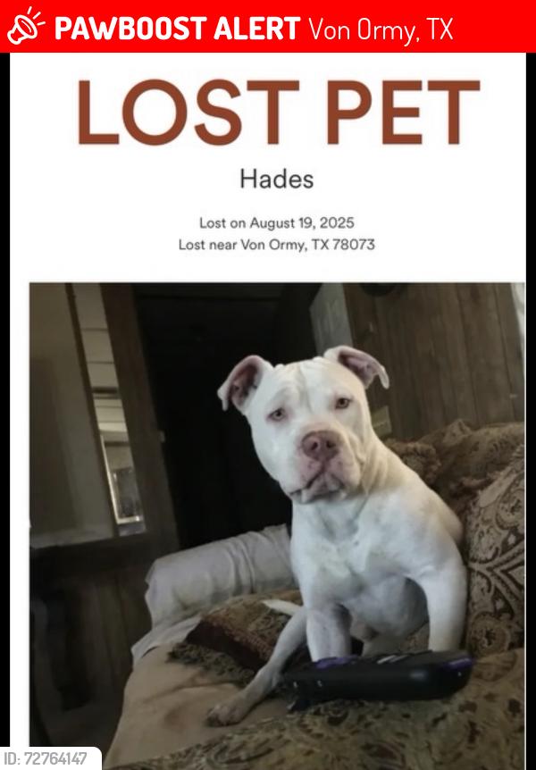 Lost Male Dog last seen Near Senior Rd, Von Ormy, TX 78073, Von Ormy, TX 78073