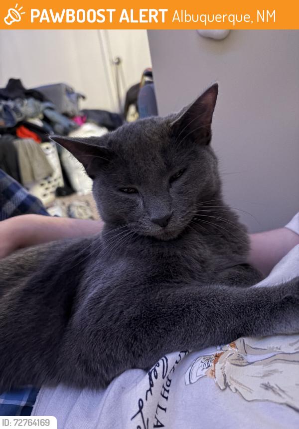 Found/Stray Male Cat last seen Taco Bell off of Eubank, Albuquerque, NM 87123