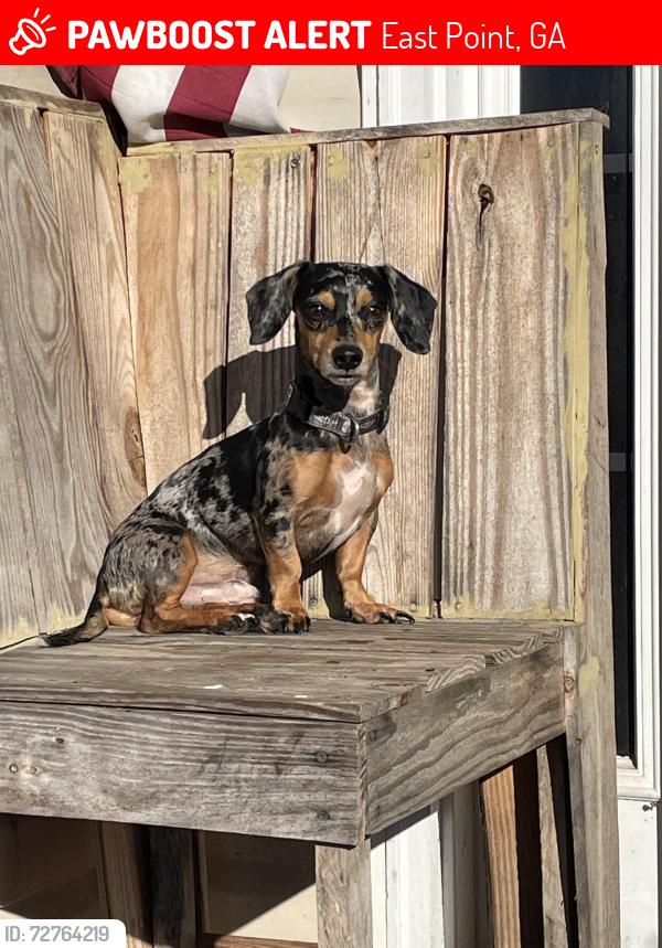 Lost Male Dog last seen Reserve at Maple Ridge , East Point, GA 30344