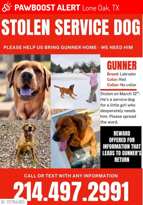 Lost Male Dog last seen Hwy 276 & FM 2737, Lone Oak, TX 75453