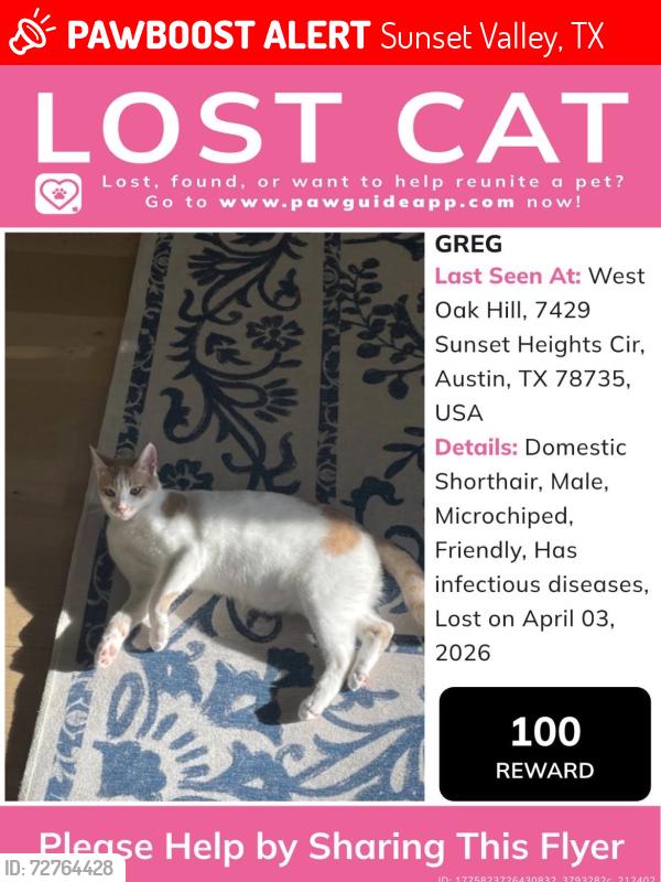 Lost Male Cat last seen sunset heights, Sunset Valley, TX 78745