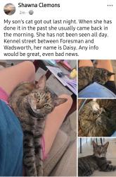 Lost Female Cat last seen Kennel & wadsworth, Gulf Cove, FL 33981