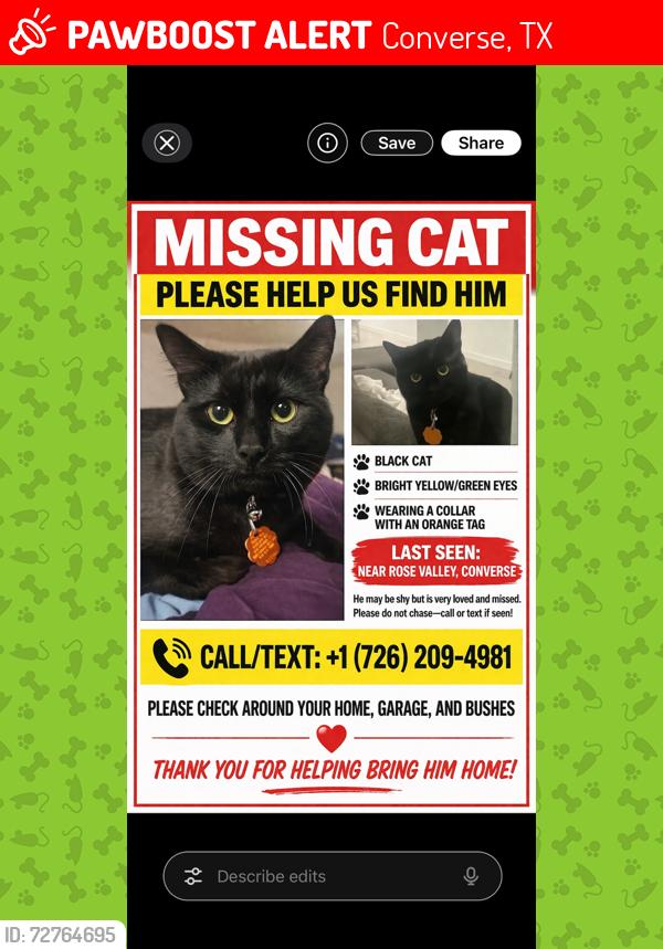 Lost Male Cat last seen Gray town rd, Converse, TX 78109