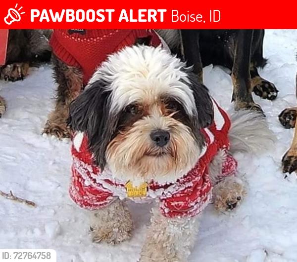 Lost Female Dog last seen Black’s Creek Rest Area-Westbound, I84, Idaho., Boise, ID 83705