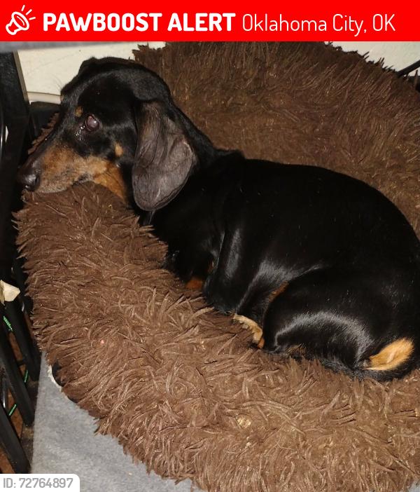 Lost Male Dog last seen Agnew, Oklahoma City, OK 73108