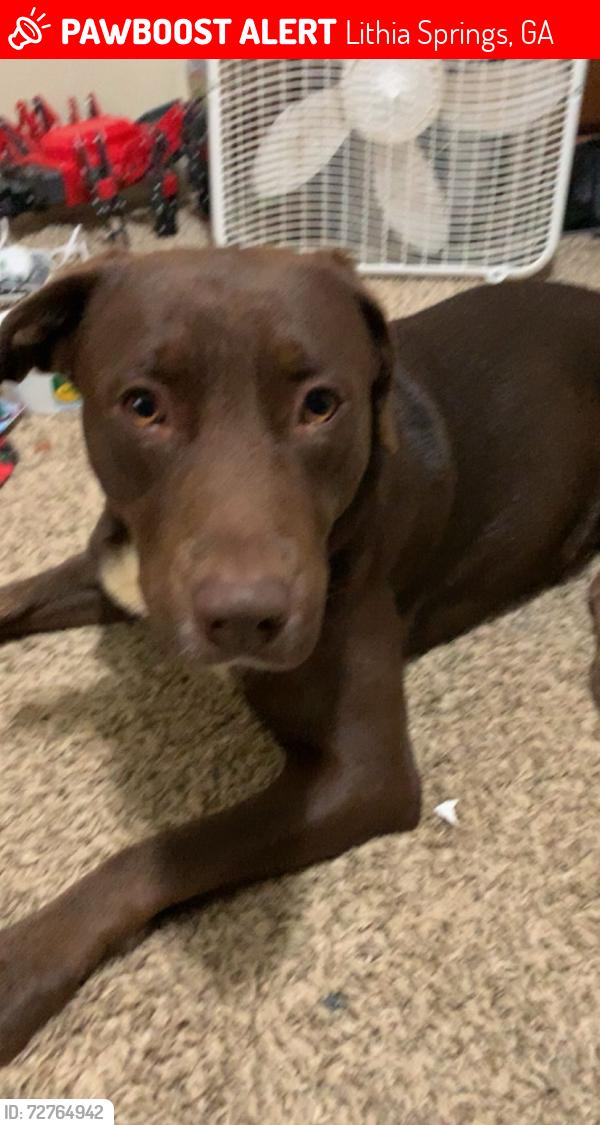 Lost Male Dog last seen At  Depot near I-20, Lithia Springs, GA 30122