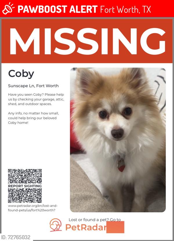 Lost Male Dog last seen Harmony , Fort Worth, TX 76123