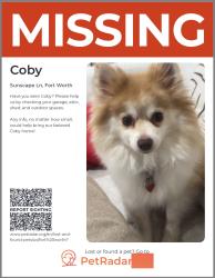 Lost Male Dog last seen Harmony , Fort Worth, TX 76123