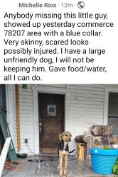 Found/Stray Unknown Dog last seen Near area, San Antonio, TX 78237