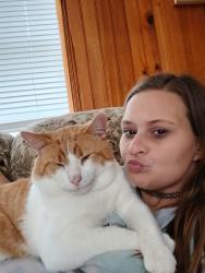 Lost Male Cat last seen Meadows lane trailer park , Granite Falls, NC 28630