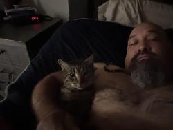 Lost Male Cat last seen Calder road, League City, TX 77573