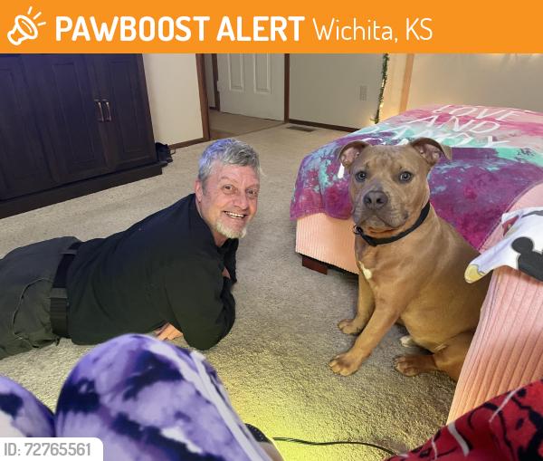 Found/Stray Male Dog last seen Rock road E Harry, Wichita, KS 67207