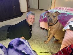 Found/Stray Male Dog last seen Rock road E Harry, Wichita, KS 67207