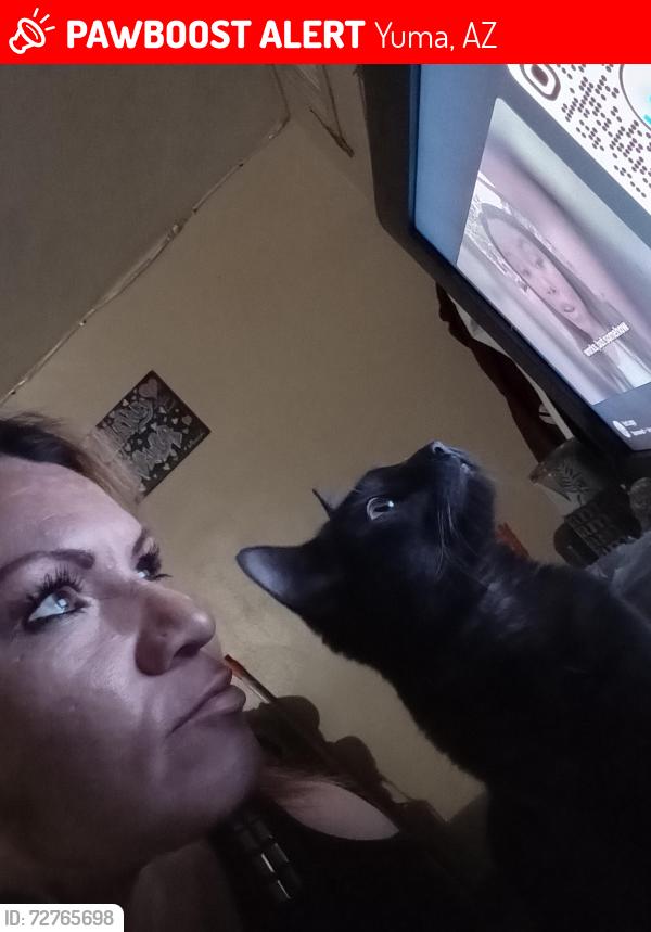 Lost Male Cat last seen 23ave 3rd st, Yuma, AZ 85364