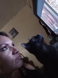 Lost Male Cat last seen 23ave 3rd st, Yuma, AZ 85364