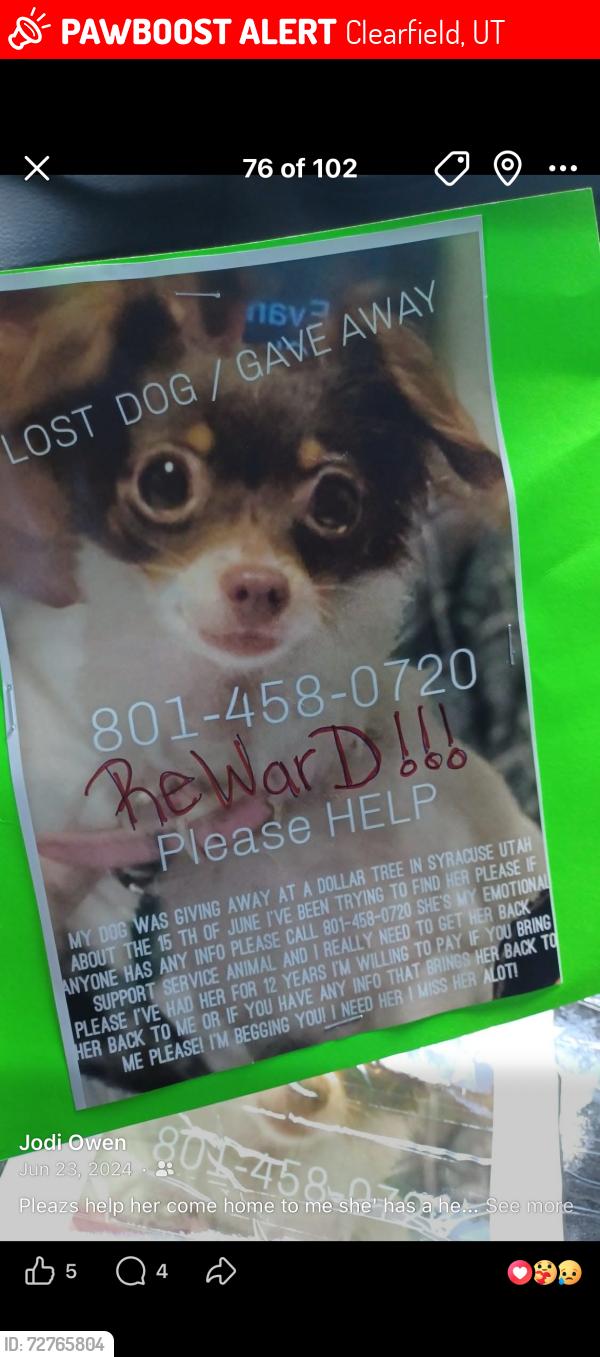 Lost Female Dog last seen Near e 1800 s Clearfield Utah apt e , Clearfield, UT 84015