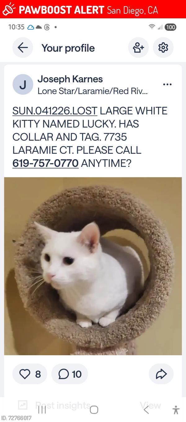 Lost Male Cat last seen Laramie Way, San Diego, CA 92120