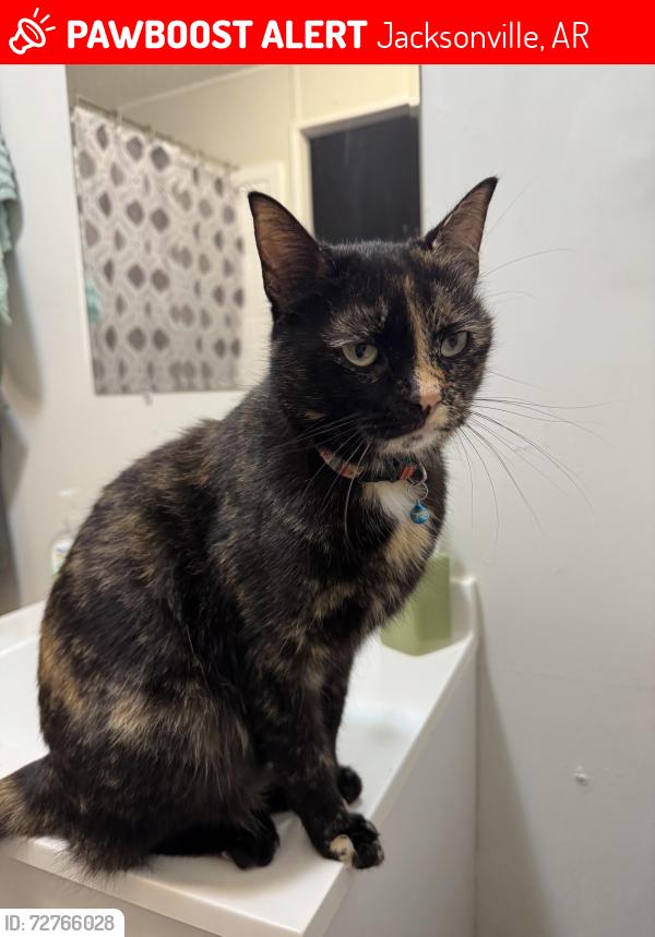 Lost Female Cat last seen lake pickthorne, john harden, Jacksonville, AR 72076