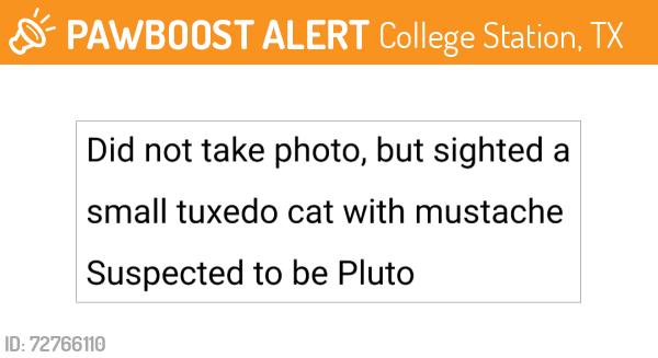 Found/Stray Unknown Cat last seen Near Southwestern Pkwy, College Station, TX 77840