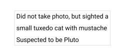 Found/Stray Unknown Cat last seen Near Southwestern Pkwy, College Station, TX 77840