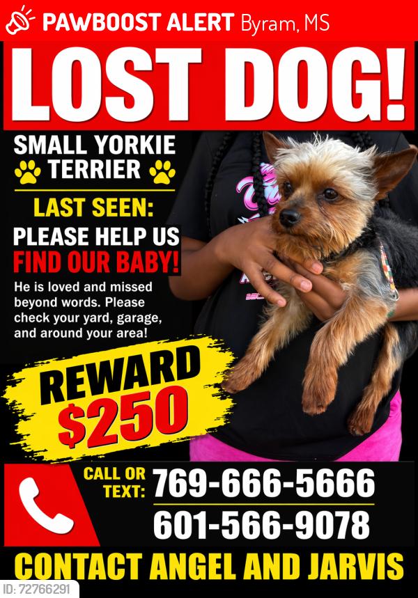 Lost Male Dog last seen Siwell Road, Byram, MS 39272