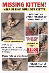Lost Female Cat last seen Byler rd, Moulton, AL 35650