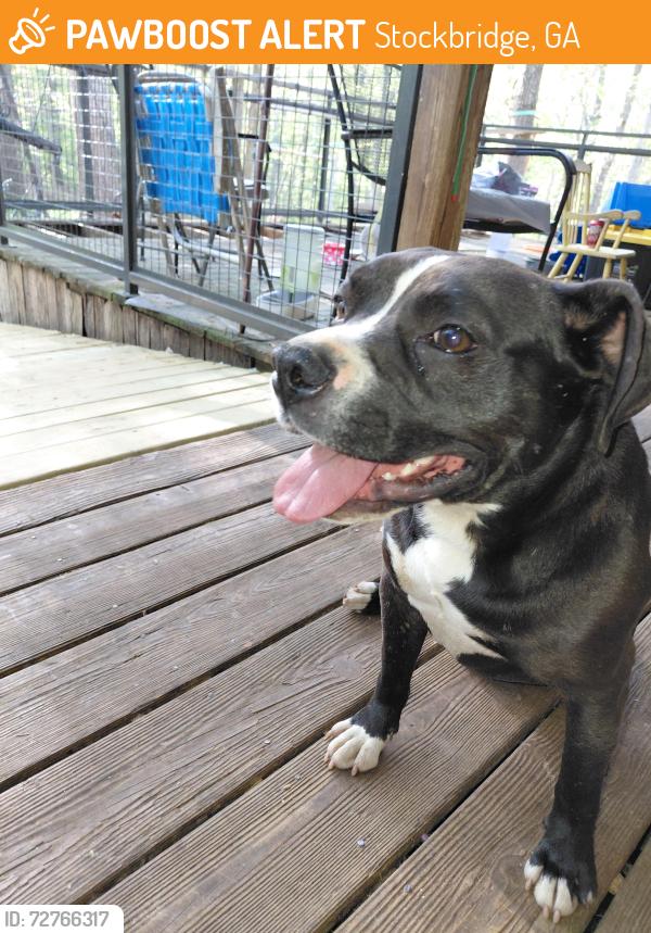Found/Stray Male Dog last seen Close to Rockdale/ Henry County line at hwy 138 and Fairview rd, Stockbridge, GA 30281