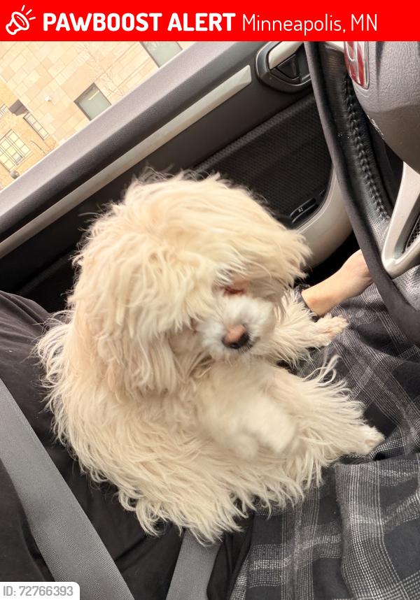 Lost Female Dog last seen Near 13th Ave S , Minneapolis, MN 55407
