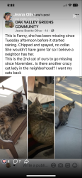 Lost Female Cat last seen Evergreen and Alder St, Beaumont, CA 92223