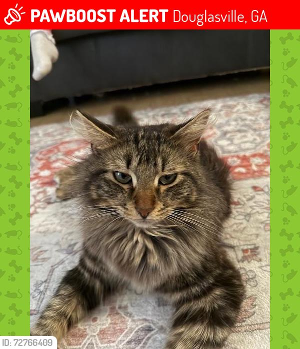 Lost Male Cat last seen John West Road Near Bright Star Elementary School, Douglasville, GA 30134