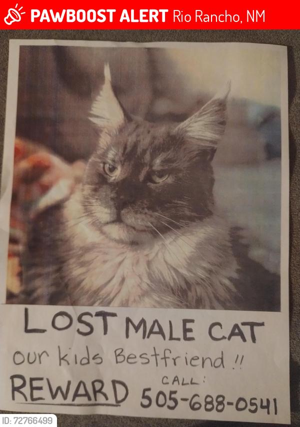 Lost Male Cat last seen Westside Rio Rancho , Rio Rancho, NM 87124